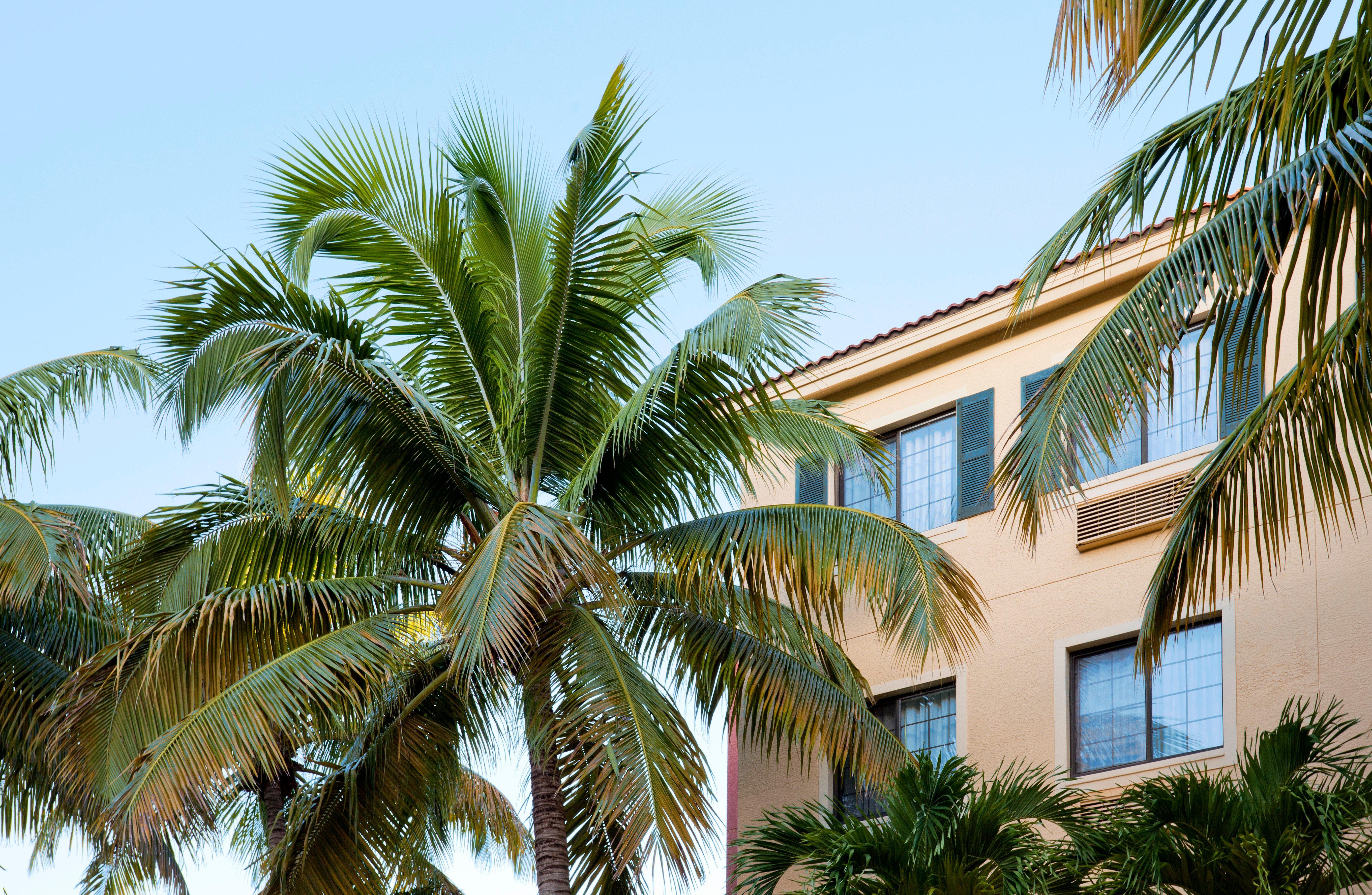 Staybridge Suites Naples - Gulf Coast, An Ihg Hotel Екстериор снимка